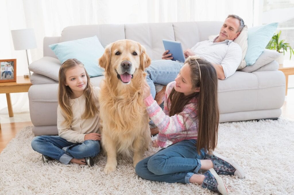 Two girls sit on a rug petting a golden retriever, while a man relaxes on a sofa behind them using a tablet—enjoying the cool comfort after an annual AC maintenance.
