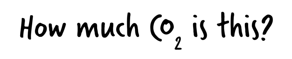 Text reads "How much CO₂ is this?" in a playful font, giving a fun glimpse into what we're all about us.